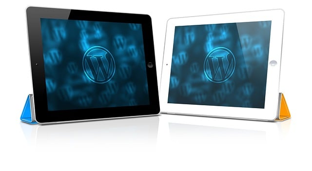 thedigitalartist-ipad-1276880_640